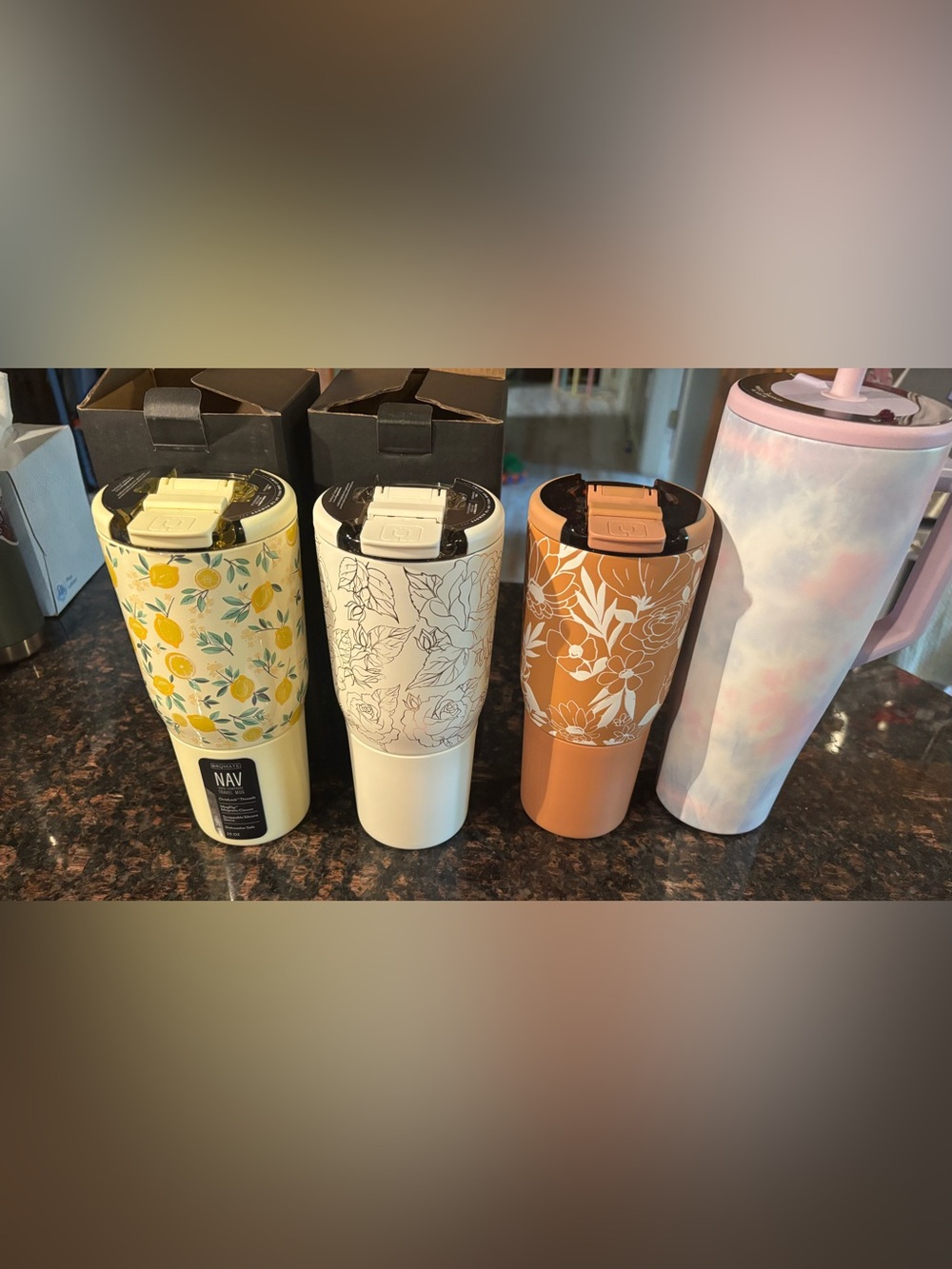 Brumate Bundle of 4: limoncello enchanted rose sandstone bloom daydream